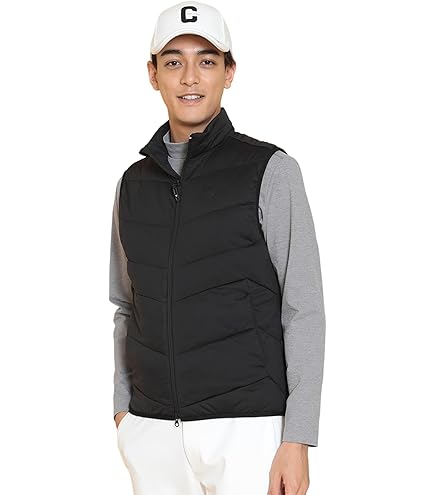 Amazon.co.jp: [アークテリクス] アトム SL ベスト メンズ Black S